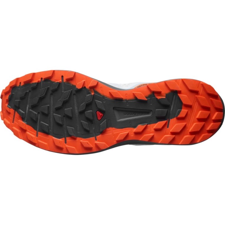 Sapatilhas Trail Running Salomon Sense Ride 4 Masculino Cinzentas | PT O56912